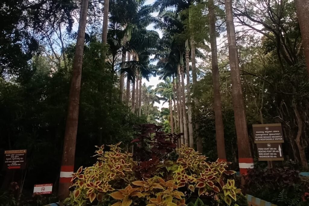 whatsapp image 2026 01 05 at 2.02.55 pm